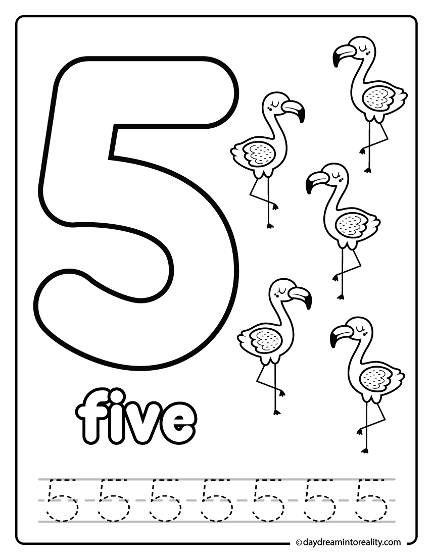 Number five tracing and coloring worksheet with flamingos.