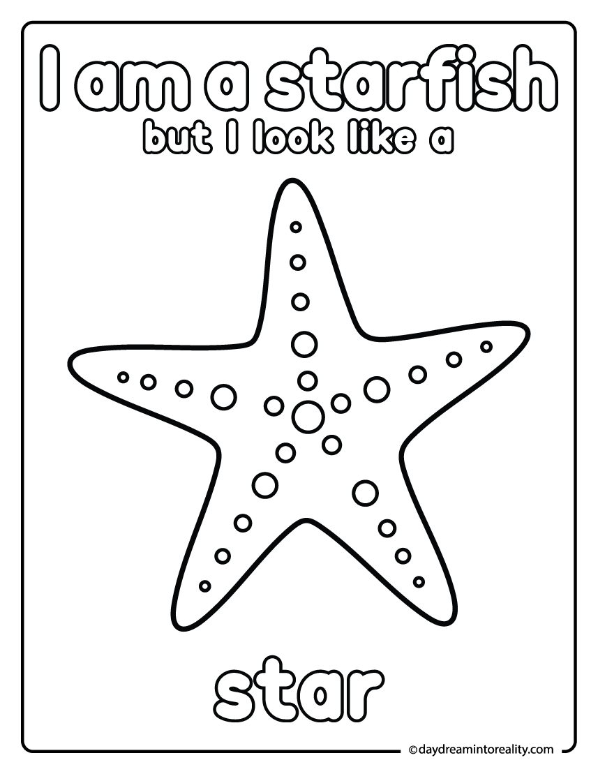 Starfish coloring page that teaches star shape recognition.