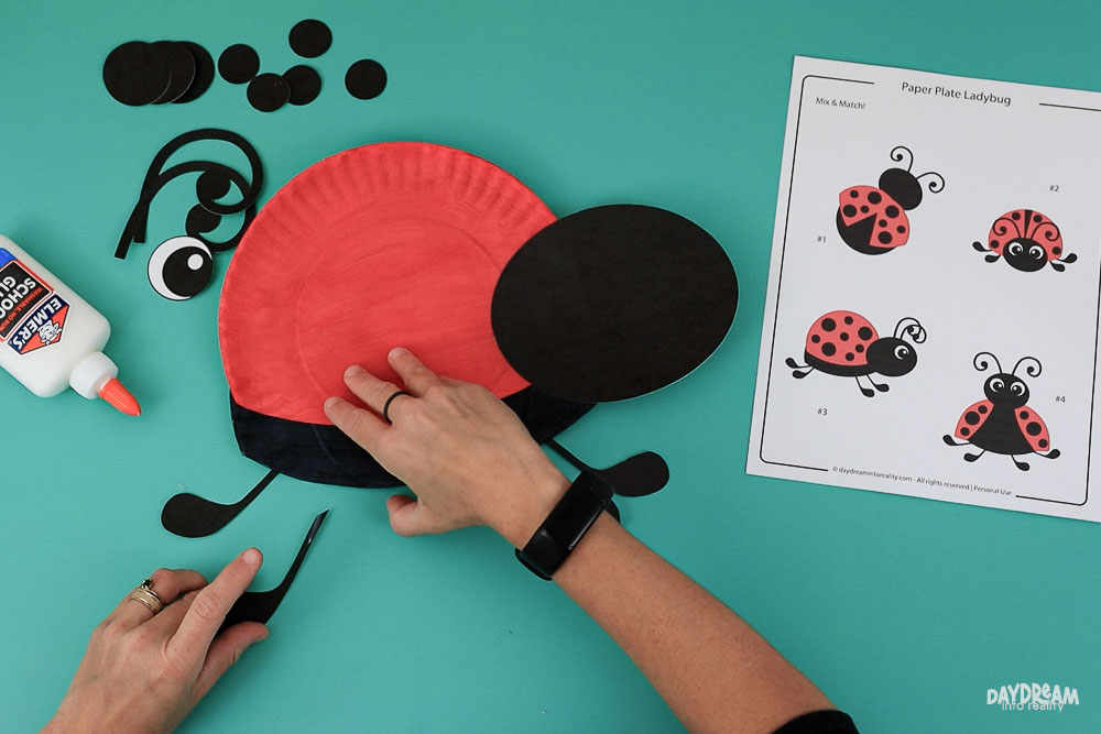 Glue legs to ladybug.