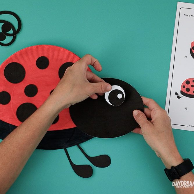 Glue eye to ladybug.