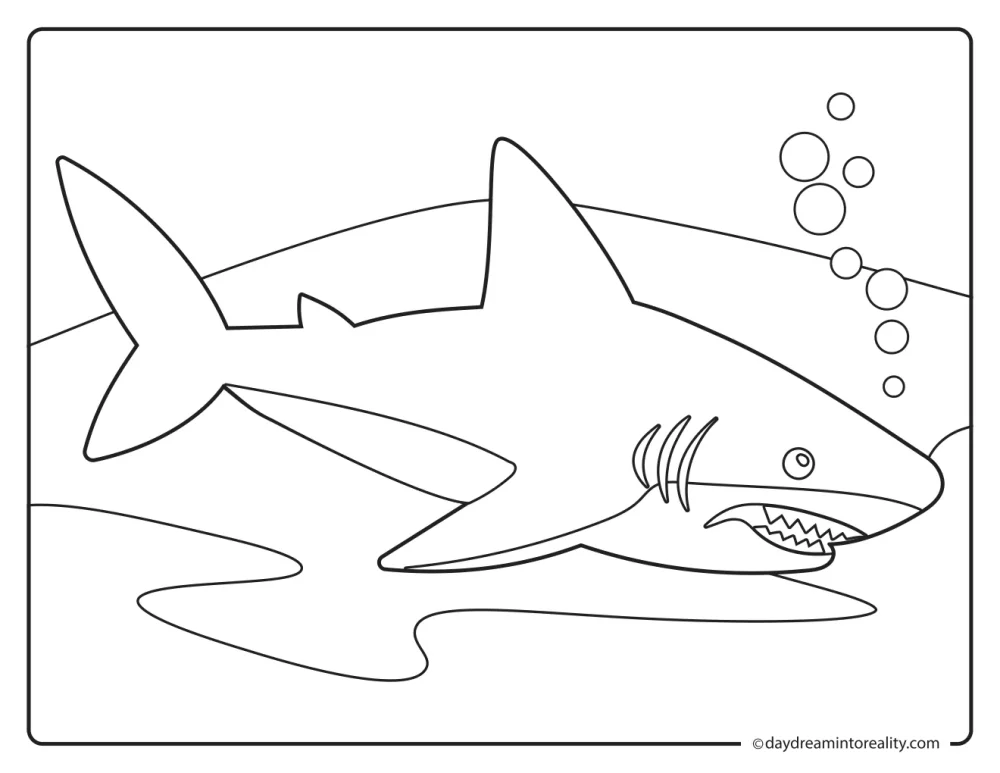Great white shark with sharp teeth and gills swimming above its underwater shadow.