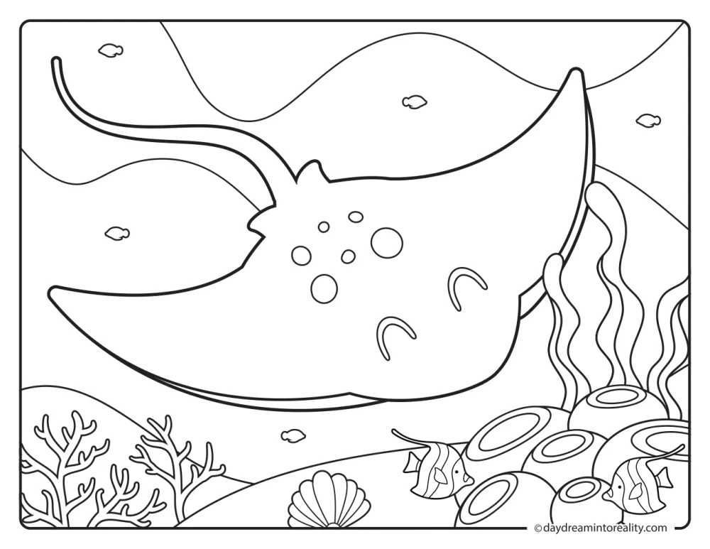 Smiling manta ray gliding above coral, tube sponges, seaweed, a shell, and small fish.