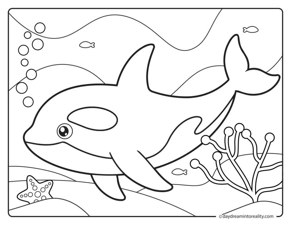 Orca swimming above an ocean floor with coral, bubbles, small fish, and a starfish.